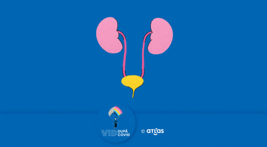 Rinichii IN and OUT Covid-19 | Afectarea urologică